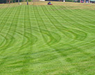 Commercial Landscape Solutions